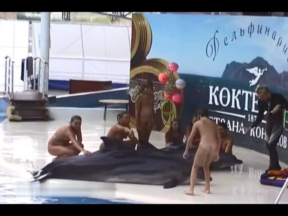 Relaxing at the dolphinarium - A true nudist vacation